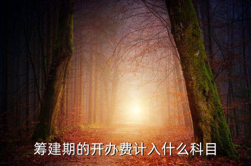 公司籌建期的費(fèi)用計(jì)入什么科目，籌建期的開辦費(fèi)計(jì)入什么科目