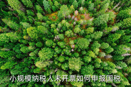 不征稅發(fā)票 如何申報(bào)，零星的銷售對方不要發(fā)票怎么報(bào)稅