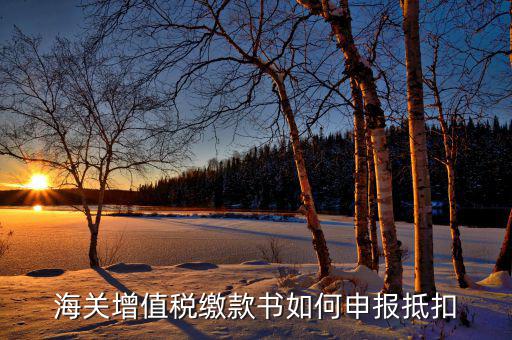 海關(guān)增值稅如何抵扣，海關(guān)增值稅繳款書(shū)如何申報(bào)抵扣