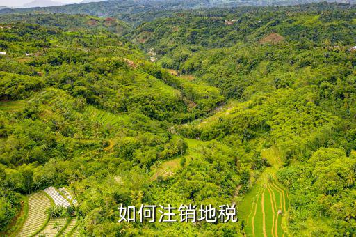 如何注銷地稅，如何注銷地稅