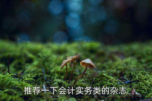 納稅這個(gè)期刊如何，推薦一下會(huì)計(jì)實(shí)務(wù)類(lèi)的雜志