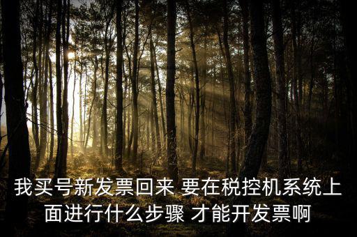 稅控系統(tǒng)如何開票，我買號新發(fā)票回來 要在稅控機系統(tǒng)上面進行什么步驟 才能開發(fā)票啊