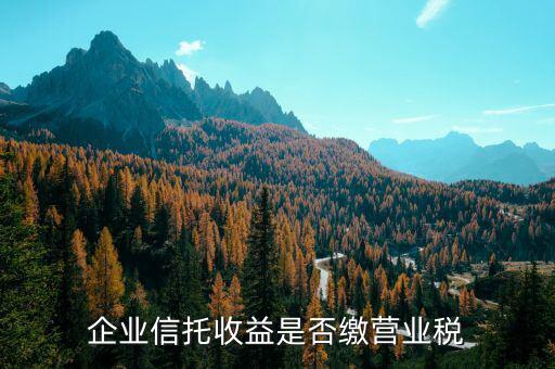 2009年信托公司如何繳納營(yíng)業(yè)稅，營(yíng)業(yè)稅怎么交