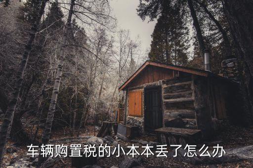 購(gòu)置稅本丟失如何補(bǔ)辦，車(chē)輛購(gòu)置稅完稅證明本丟了怎么補(bǔ)辦