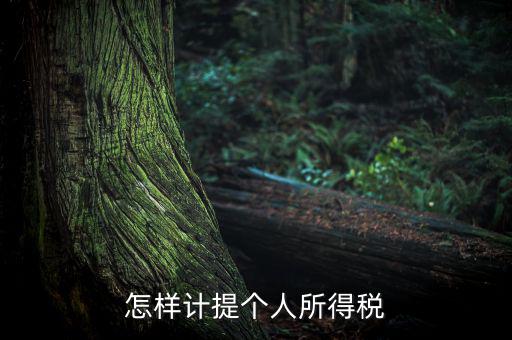 個(gè)人所得稅如何計(jì)提，如何計(jì)提個(gè)人所得稅