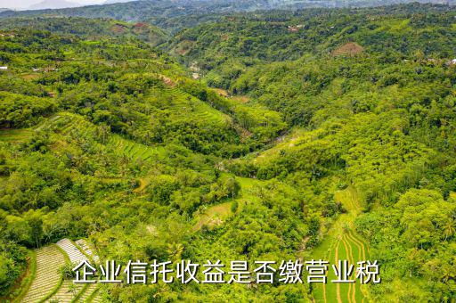 企業(yè)信托收益是否繳營(yíng)業(yè)稅