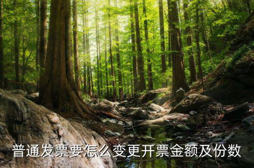 如何申請發(fā)票額度變更，普通發(fā)票要怎么變更開票金額及份數(shù)