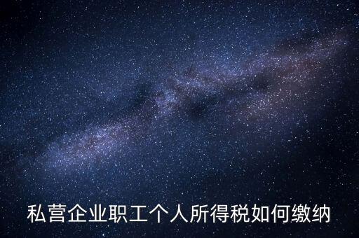 公司如何交個人所得稅，公司給員工發(fā)工資應該怎么繳納個稅啊比如