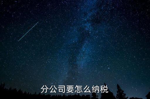 分支機構如何納稅，分支機構增值稅怎樣繳納