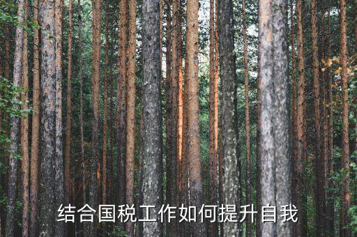 國稅工作總結(jié)如何出彩，2015年國稅貨勞科工作總結(jié)