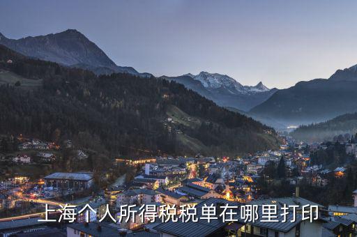 上海如何打印個(gè)稅證明，上海個(gè)人所得稅稅單在哪里打印