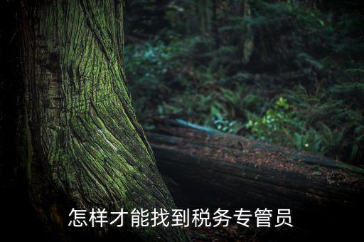 如何查詢辦稅人員，誰能告訴我不去稅務(wù)局怎么樣查詢專管員