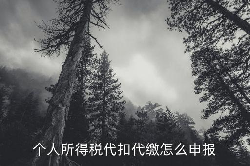 代扣代繳個人所得稅如何申報，個人所得稅代扣代繳怎么申報