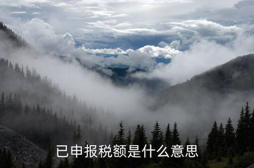 武漢稅務(wù)年報是什么意思，報告年度所得稅什么意思