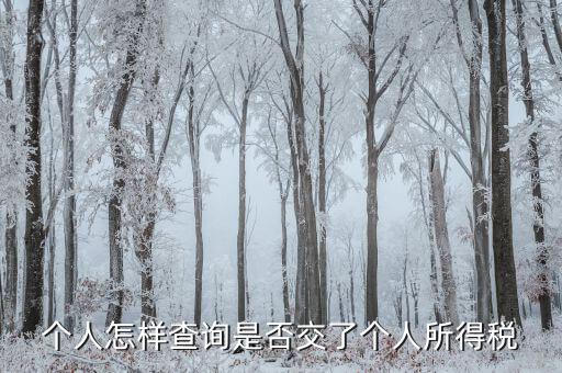 如何查詢個(gè)人完稅，在哪里能查到自己的個(gè)人所得稅