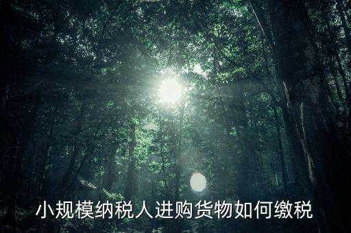 小規(guī)模納稅人如何交稅，小規(guī)模納稅人進(jìn)購貨物如何繳稅