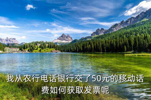 湖北移動電子發(fā)票如何獲取，中國移動手機(jī)帳單電子發(fā)票怎么樣下載