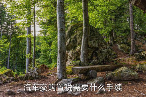 車(chē)輛購(gòu)置稅如何辦理，購(gòu)買(mǎi)車(chē)輛購(gòu)置稅需要哪些手續(xù)