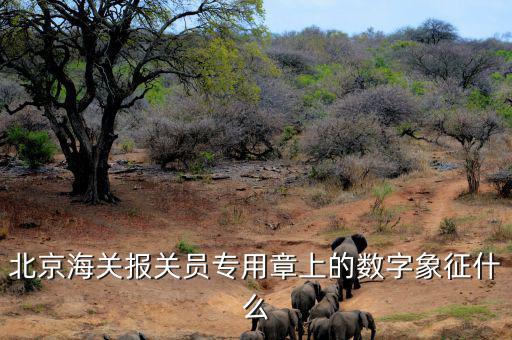 報(bào)關(guān)專用章數(shù)字是什么意思，報(bào)關(guān)專用章上面有一串?dāng)?shù)字是什么意思
