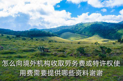 特許權(quán)使用費(fèi)如何申報(bào)，支付的特許權(quán)使用費(fèi)收入開什么發(fā)票