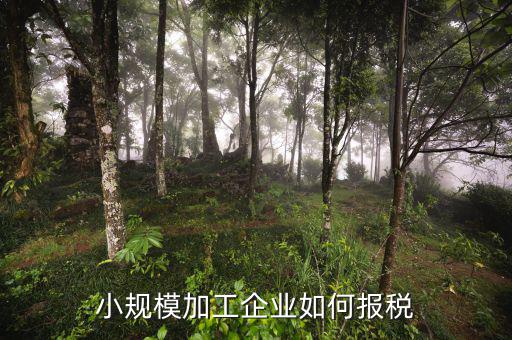 小規(guī)模企業(yè)如何報稅，小規(guī)模的企業(yè)怎么報稅的