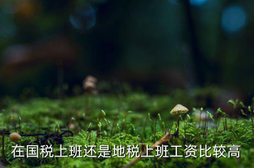 地稅局發(fā)展如何，我要考天津稅務局想問市區(qū)各地稅局和濱海地稅一分局哪個好呢