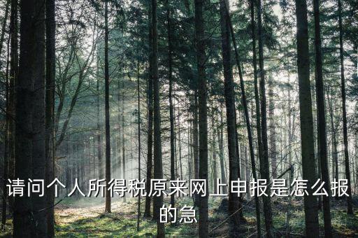 請(qǐng)問個(gè)人所得稅原來網(wǎng)上申報(bào)是怎么報(bào)的急