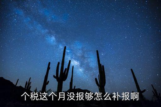 如何補報個人所得稅，個人所得稅報錯了怎么補報