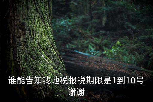 地稅的報(bào)稅期是什么時(shí)候，地稅中的年度財(cái)務(wù)報(bào)表申報(bào)期限是什么時(shí)候