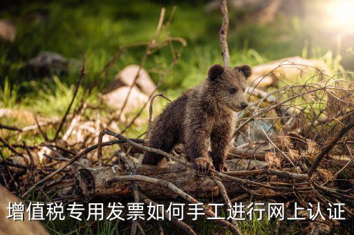 如何手工認(rèn)證發(fā)票，網(wǎng)上發(fā)票認(rèn)證怎么手工輸入