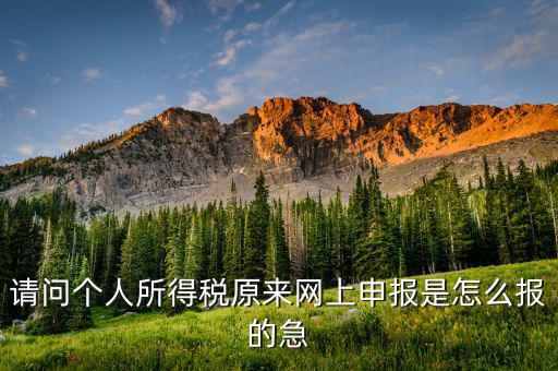 個(gè)人所得稅如何網(wǎng)上申報(bào)，個(gè)人所得稅網(wǎng)上申報(bào)流程