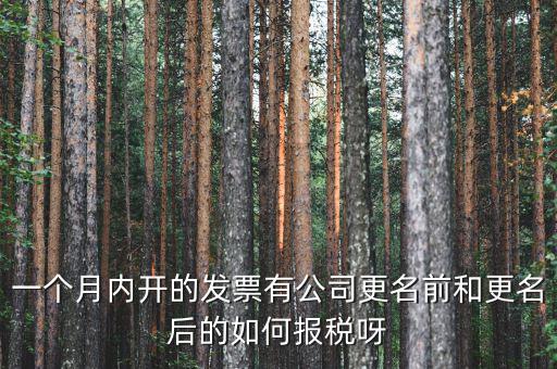 一個月內(nèi)開的發(fā)票有公司更名前和更名后的如何報(bào)稅呀