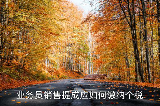 業(yè)務(wù)員銷(xiāo)售提成應(yīng)如何繳納個(gè)稅
