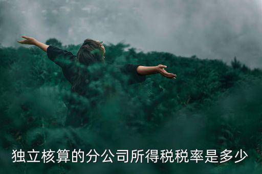 獨立核算的分公司如何納稅，誰知道獨立核算的同城分公司如何繳稅