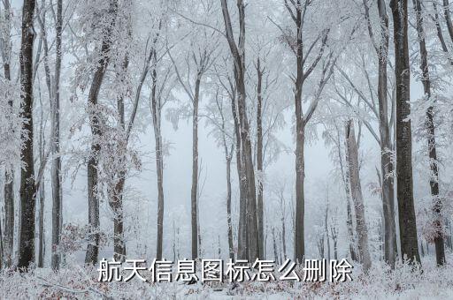 航天信息系統(tǒng)如何卸載，如何刪除系統(tǒng)信息