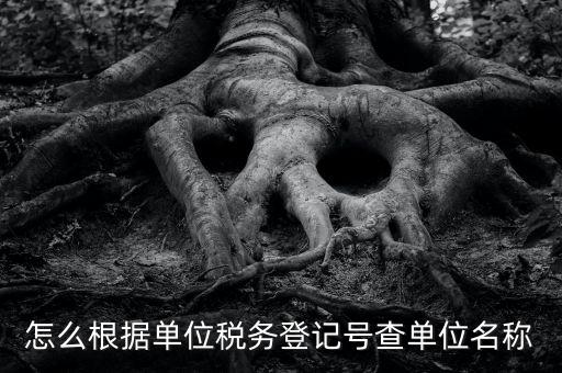 如何通過稅號查單位，知道納稅人識別號怎么查單位