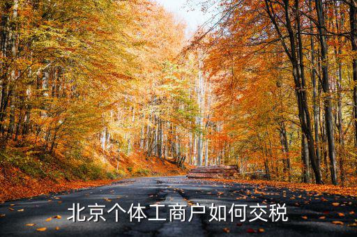 北京個(gè)體如何繳稅，北京個(gè)體戶怎么交稅