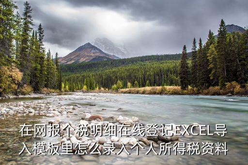 北京個(gè)稅明細(xì)申報(bào)如何導(dǎo)入，在網(wǎng)報(bào)個(gè)稅明細(xì)在線登記EXCEL導(dǎo)入模板里怎么錄入個(gè)人所得稅資料