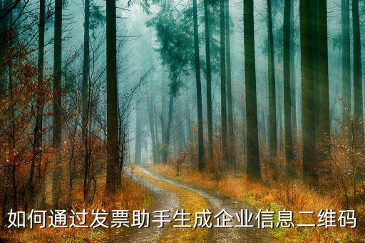 如何生成企業(yè)開票二維碼，如何通過發(fā)票助手生成企業(yè)信息二維碼