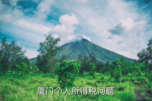 廈門企業(yè)個稅如何申報，廈門個人所得稅問題