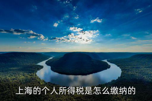 上海個(gè)人所得稅如何繳納，上海個(gè)人所得稅的繳納急