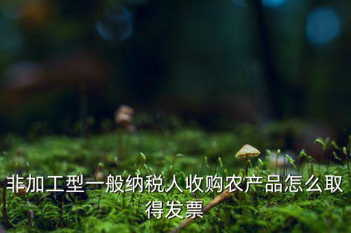 農(nóng)產(chǎn)品收購發(fā)票如何，農(nóng)產(chǎn)品收購發(fā)票如何開