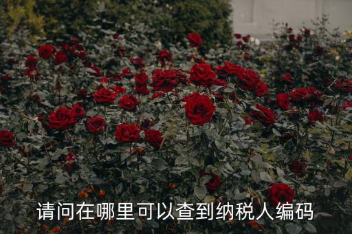 教您如何查詢納稅人代碼，忘記稅務(wù)征收機(jī)關(guān)代碼