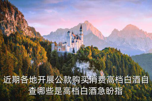 稅局如何排查高檔白酒，公款禁買高檔酒可行嗎能實施成功嗎