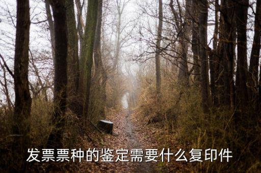 如何做票種認定，如何申請發(fā)票票種