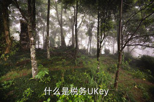 稅務(wù)局ukey是什么，什么是稅務(wù)UKey