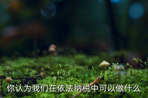 如何做到依法納稅，你認為我們在依法納稅中可以做什么