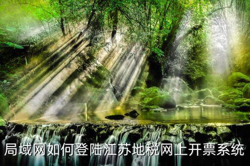 地稅局如何登陸，怎么登陸地方稅務局