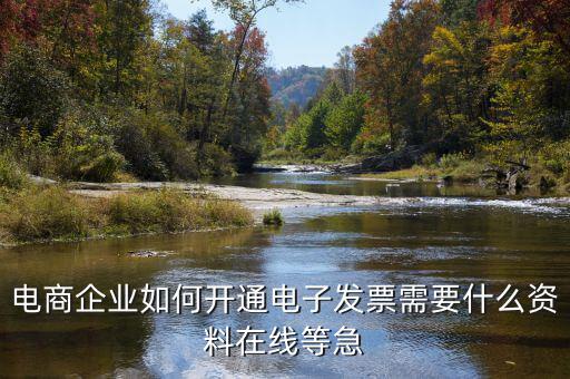 電子發(fā)票如何申領(lǐng)，京東電子發(fā)票如何獲取