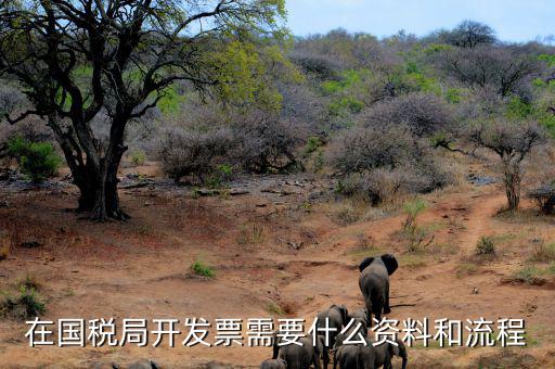 國稅局批票如何辦理，在國稅局開發(fā)票需要什么資料和流程